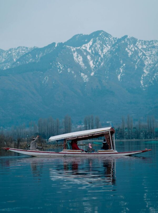 kashmir